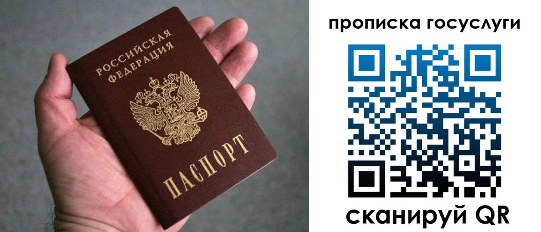 прописка 2025 в Коврове